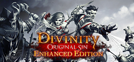 Divinity: Original Sin sur jdrpg.fr